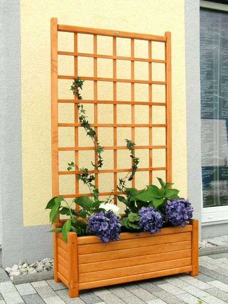 Rankgitter Mit Pflanzkästen Und Pergola Aus Weide 177×196 Cm Pictures Hollywoodschaukel Aus Holz Mit Rankgitter ~ Rankgitter Mit Pflanzkästen Und Pergola Aus Weide 177×196 Cm Pictures